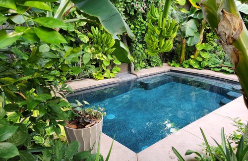 St. George Apartamento | Tropical Secret Garden with heated pool