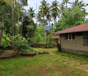 Nagaon Cabina | Tropical Whisper