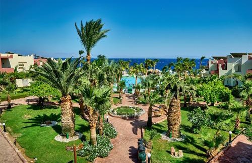 Dahab Complejo | Tropitel Dahab Oasis