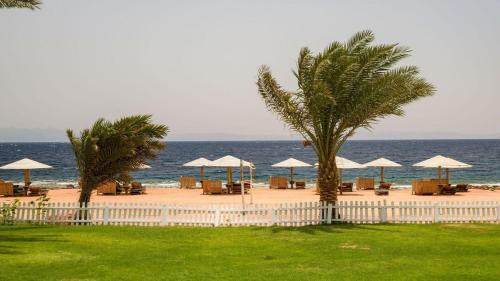 Dahab Complejo | Tropitel Dahab Oasis