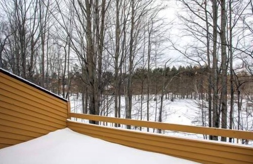 Harbor Springs Condominio | Condominio 127 - Trout Creek Condos