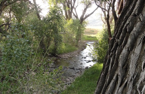 Cody Cabina | Trout Creek Lodge en el agua