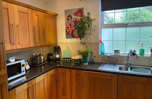 Bangor Apartamento | True Colours Apartment in Central Location