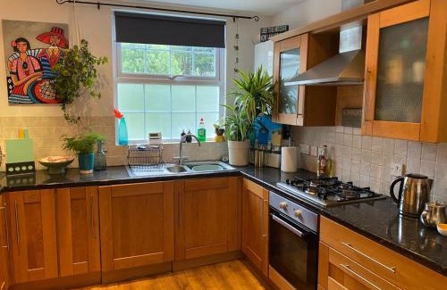 Bangor Apartamento | True Colours Apartment in Central Location