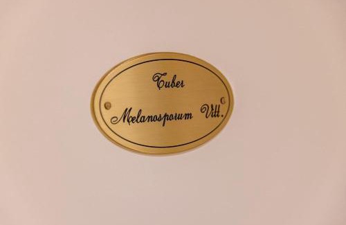 Montepulciano Apartamento | Truffle House Tuscany Tuber Melanosporum Vitt