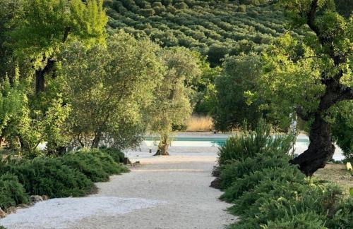 Ceglie Messapica Casa | Trulli delle Stelle