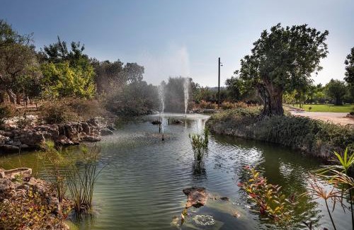 Coreggia Casa | Trulli Uliveto Acquafonda
