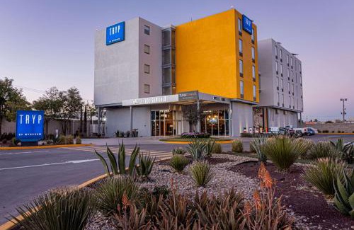 San Luis Potosí Hotel | TRYP by Wyndham San Luis Potosi Hotel & Suites