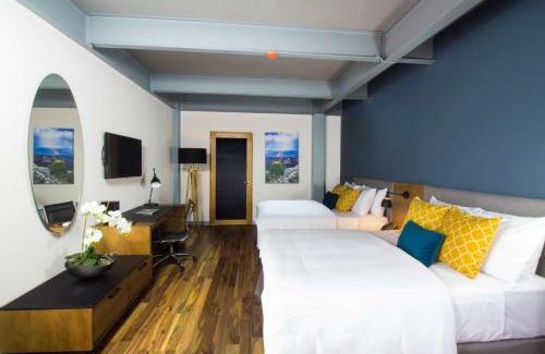 San Luis Potosí Hotel | TRYP by Wyndham San Luis Potosi Hotel & Suites