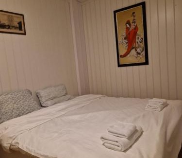 Innbygda Apartamento | Trysil sentrum leilighet