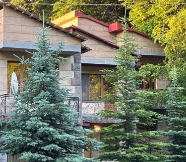 Tsaghkadzor Casa | Tsaghkadzor Family Villa
