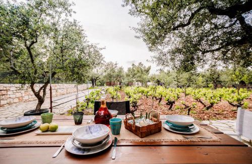 Agia Marina Casa | Tsantri Olive Grove residence
