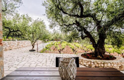 Agia Marina Casa | Tsantri Olive Grove residence