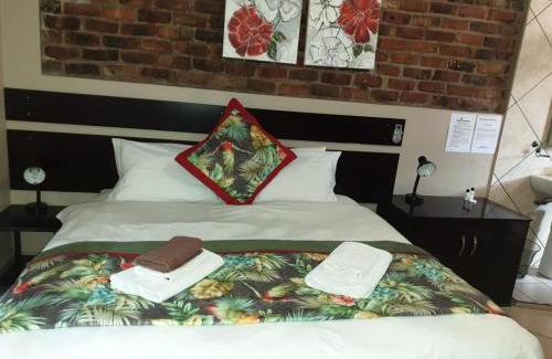Langenhoven Park Cama Y Desayuno | Tsessebe Guesthouse