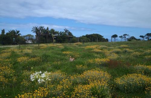 Robbehoek Chalet De Esquí | Tsitsikamma on Sea Self-catering Cottages