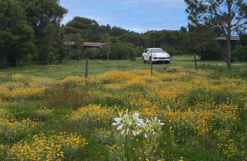 Robbehoek Chalet De Esquí | Tsitsikamma on Sea Self-catering Cottages