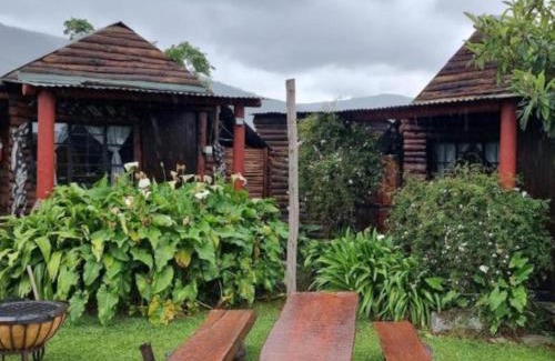 Witelsbos Otro | Tsitsikamma Wolf Sanctuary ECO Cabins & Teepees
