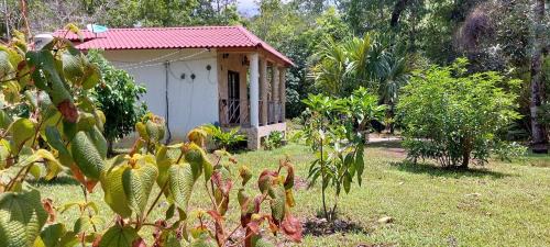 Lacanjá Apartamento | Tu Casa en la Selva Lacandona