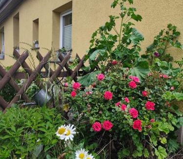 Trassenheide Apartamento | Tu hus bei Faber - Fewo Milo -