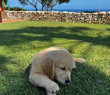 Segur de Calafell Casa | Tu pequeño paraíso