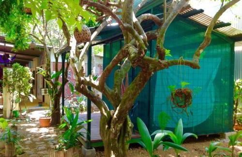 Uvita Hotel | Tucan Hotel