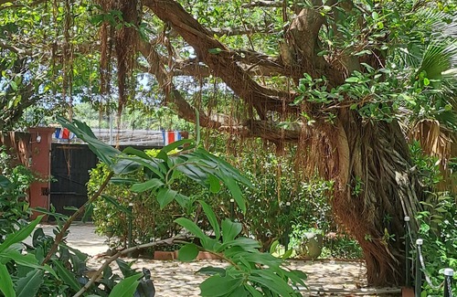 Tamarindo Apartamento | Tucan large room for two fully equipped with a private terrace.
