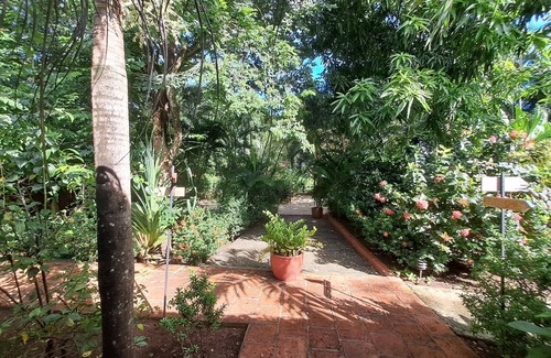 Tamarindo Apartamento | Tucan large room for two fully equipped with a private terrace.