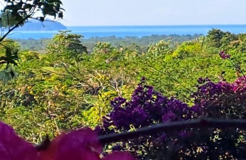Tarcoles Cama Y Desayuno | Tucanes Ridge Bed and Breakfast