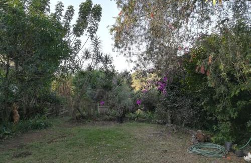 Hillcrest Apartamento | Tucked away in the tree tops