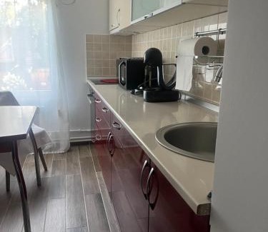 Mangalia Apartamento | Tudor Apart Neptun