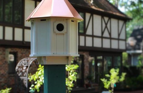 Summerville Cama Y Desayuno | Tudor Oaks Inn