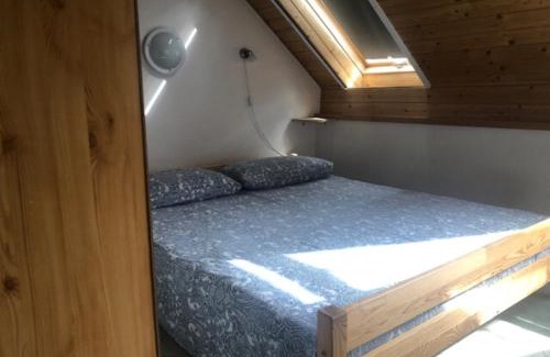 Szentendrei Casa | Tulipán ház