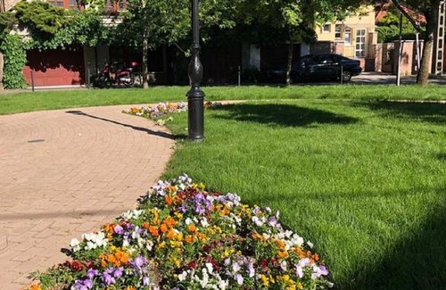 Szolnok Cama Y Desayuno | Tulipán Villa Panzió