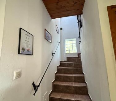 Velence Apartamento | Tulipános Ház