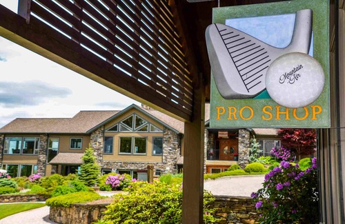 Mountain Air Apartamento | Tulip Poplar Suite- Club Access