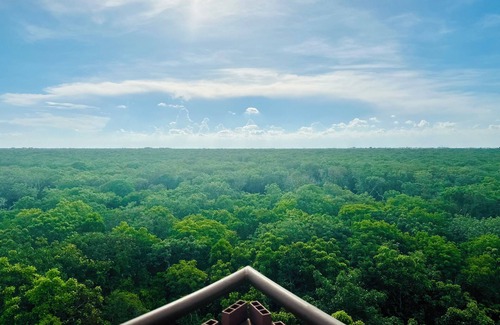 Playa Paraiso Apartamento | Tulum Hotel Zone | Ocean View Rooftop + Beach Club Access, Couples & Family