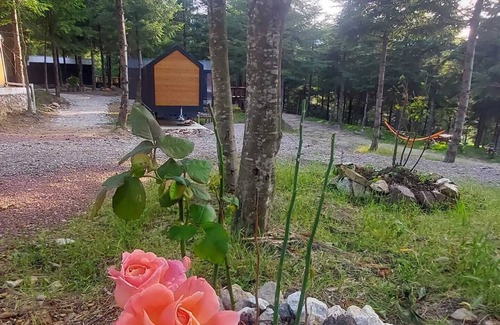 Kartepe Cabina | Tumba Sisli Vadi
