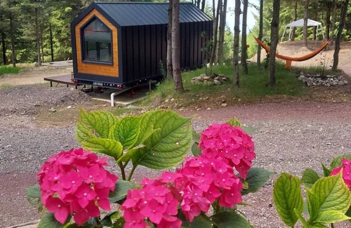 Kartepe Cabina | Tumba Sisli Vadi