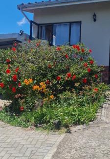 Port Alfred Apartamento | Tumble Inn