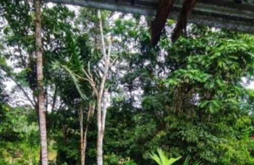 Misahuallí Otro | Turismo Comunitario Mirador Kallari