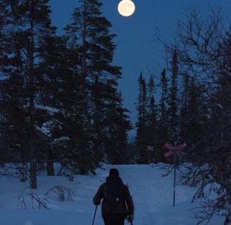 Alvdalen Municipality Cama Y Desayuno | Turistgården Särna