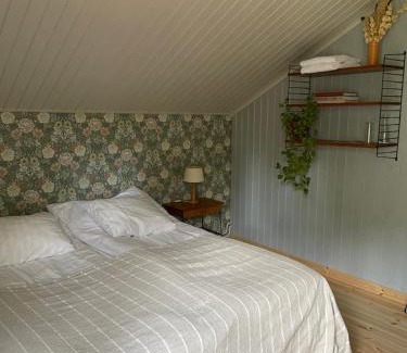 Alvdalen Municipality Cama Y Desayuno | Turistgården Särna