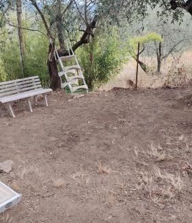 Florence Casa | Turisti nella natura in città d'arte