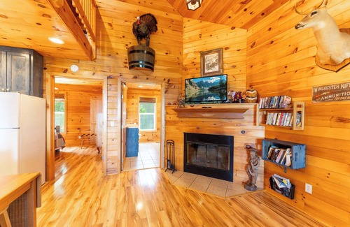 Bryant Cabina | Turkey Hallow cabin with a private hot tub!