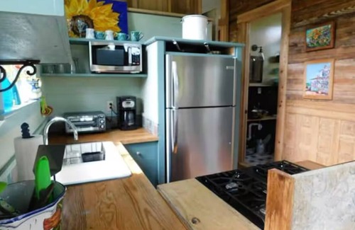 Apalachicola Cabina | Turtle Pond cabin in Apalachicola with WiFi, Pet Friendly, Couples Retreat