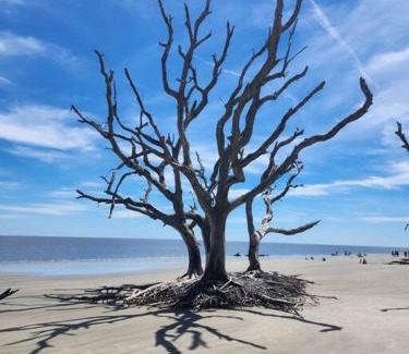 Jekyll Island Casa | Turtle Tracks B