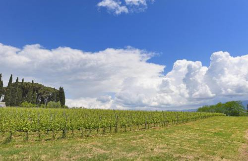 Rignano sull'Arno Apartamento | Tuscan Home Panoramic Hills Terrace - Happy Rentals