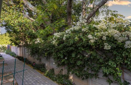 Westridge Apartamento | Twelve on Arum