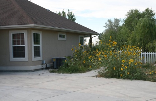 Twin Falls County Casa | Twin Falls one level private bedroom with full bath Private Patio & Yard.