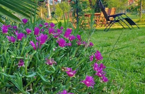 Cormons Casa | Twins Farm